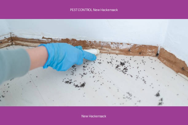 PEST CONTROL New Hackensack
